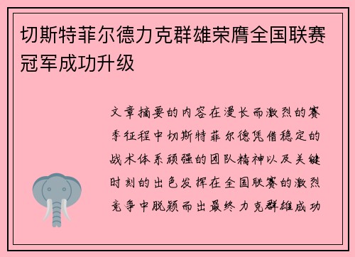 切斯特菲尔德力克群雄荣膺全国联赛冠军成功升级 切斯特菲尔德力克群雄荣膺全国联赛冠军成功升级